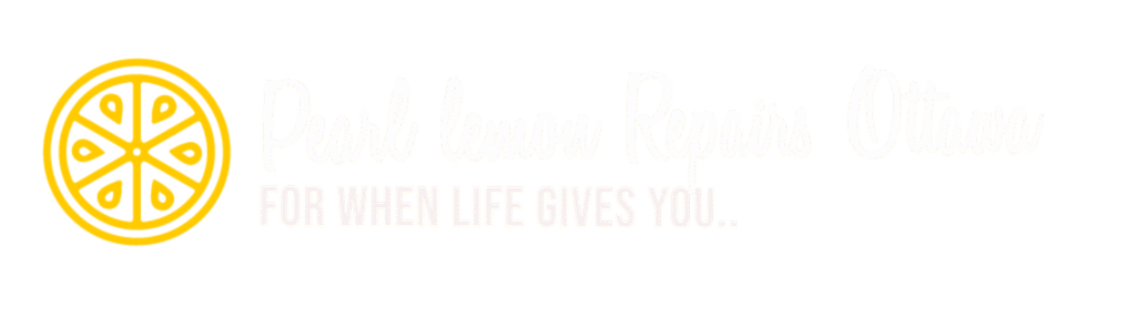 PL Repairs Ottawa White Logo